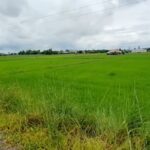 ban-2-lo-dat-425-trieu-long-thinh-long-thuan-ben-cau-tay-ninh