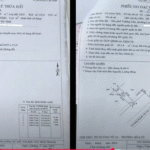 ban-2-lo-dat-mat-tien-duong-nguyen-van-linh-khu-pho-truong-cu-phuong-long-hoa-tay-ninh-gia-240-trieu-m-ngang