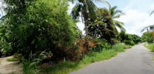 Bán Đất 6×40,7m Mặt Tiền Đường Nhựa 10m – Kế TL793, Phường Bình Minh, Tây Ninh – Full Thổ Cư, Giá 720 Triệu