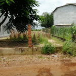 ban-dat-full-tho-cu-350m2-ap-ben-cu-ninh-dien-cach-tl796-chi-300m-gia-370-trieu-1