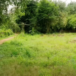 ban-dat-no-hau-2-mat-tien-ap-nam-ben-soi-ninh-dien-83-5m2-50m2-tho-cu-gia-130-trieu