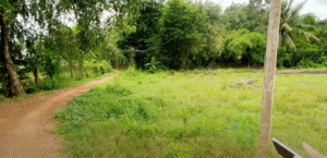 Bán Đất Nở Hậu 2 Mặt Tiền Ấp Nam Bến Sỏi, Ninh Điền – 83,5m², 50m² Thổ Cư, Giá 130 Triệu